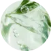 Glycerin