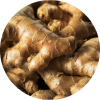 Zingiber Officinale (Ginger)