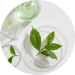 Phenoxyethanol