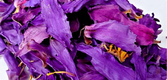 Blue Lotus Extract
